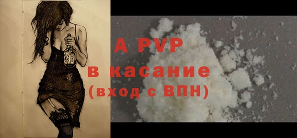 прущие грибы Арсеньев