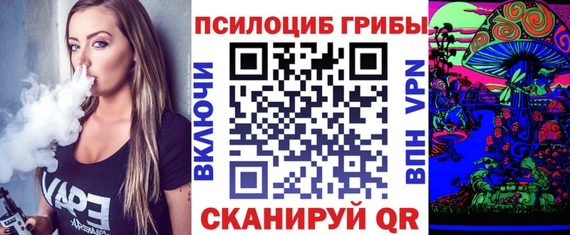 Галлюциногенные грибы Psilocybe продажа наркотиков Темрюк